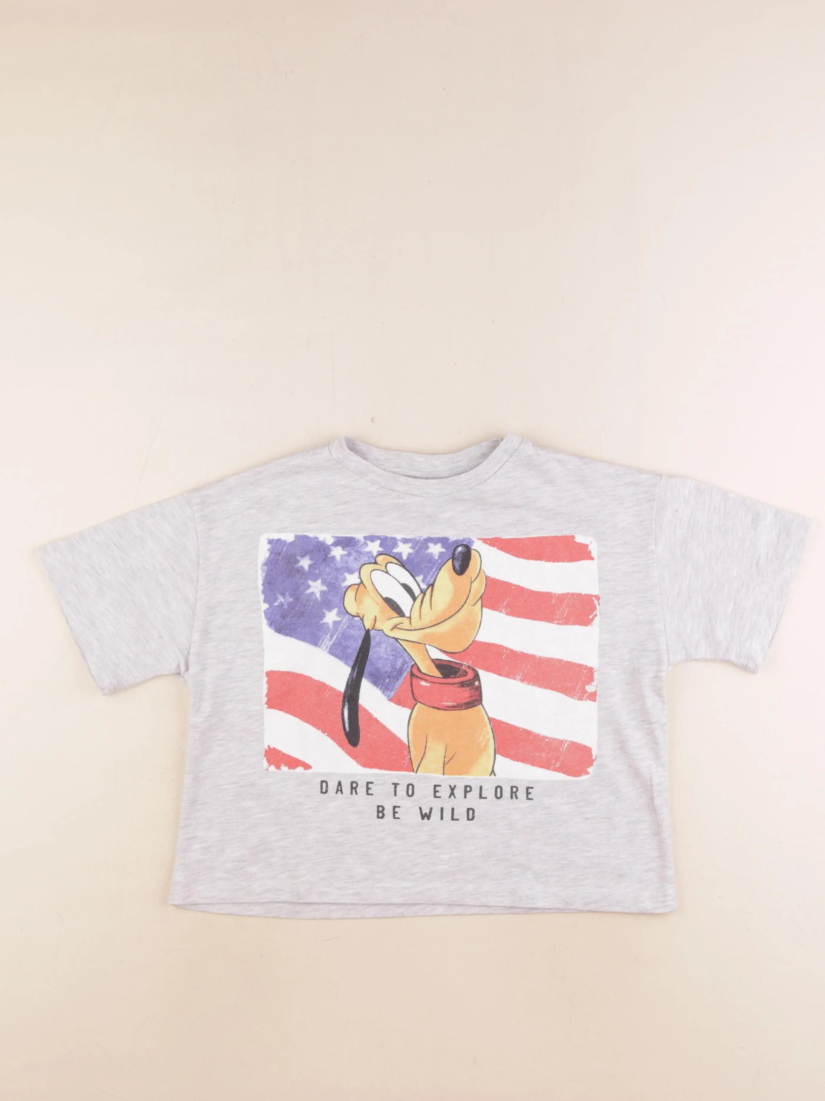 Zara - tee-shirt gris - 9/10 ans