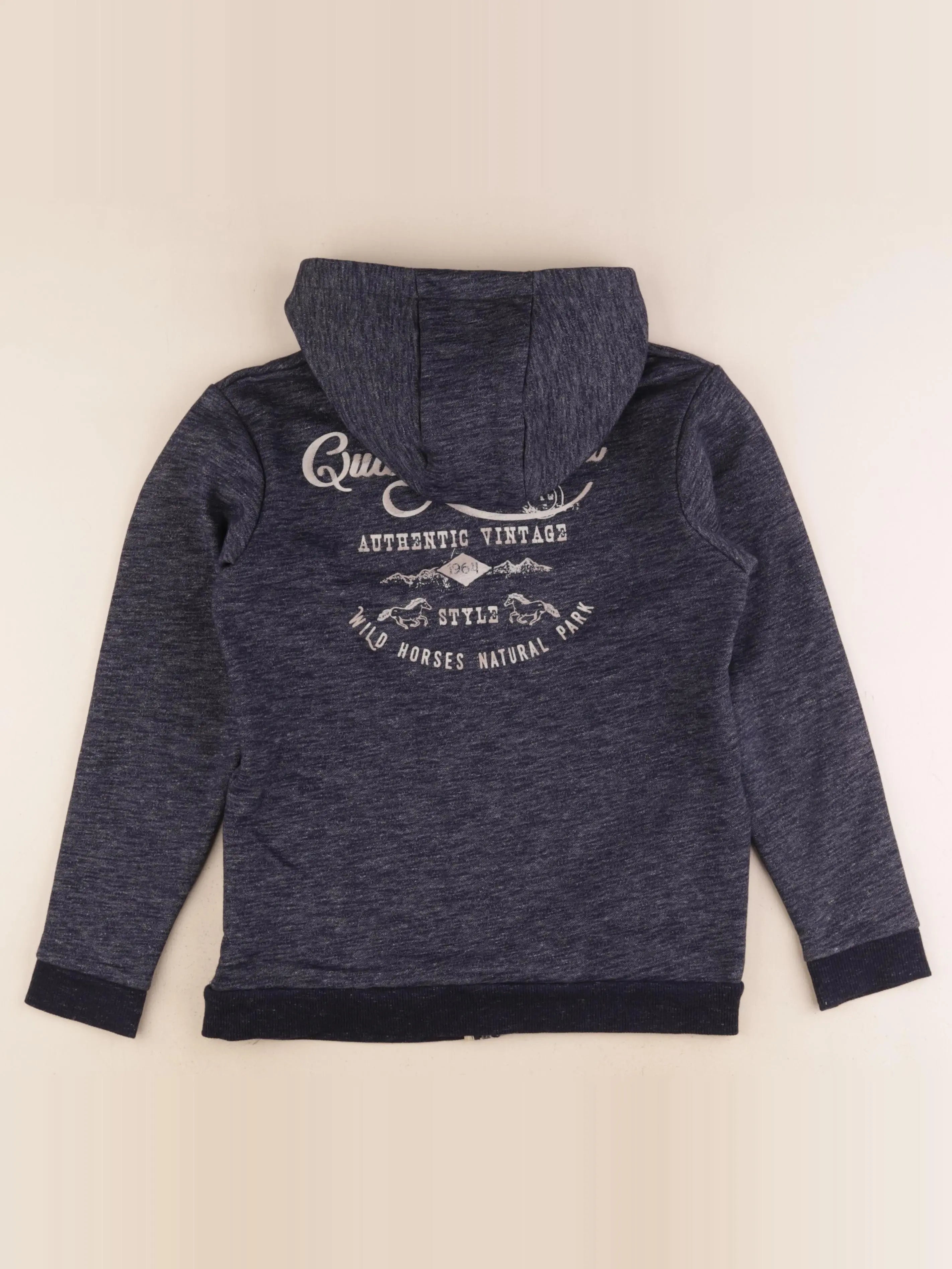 Vertbaudet - sweat imprimé au dos bleu - 12 ans