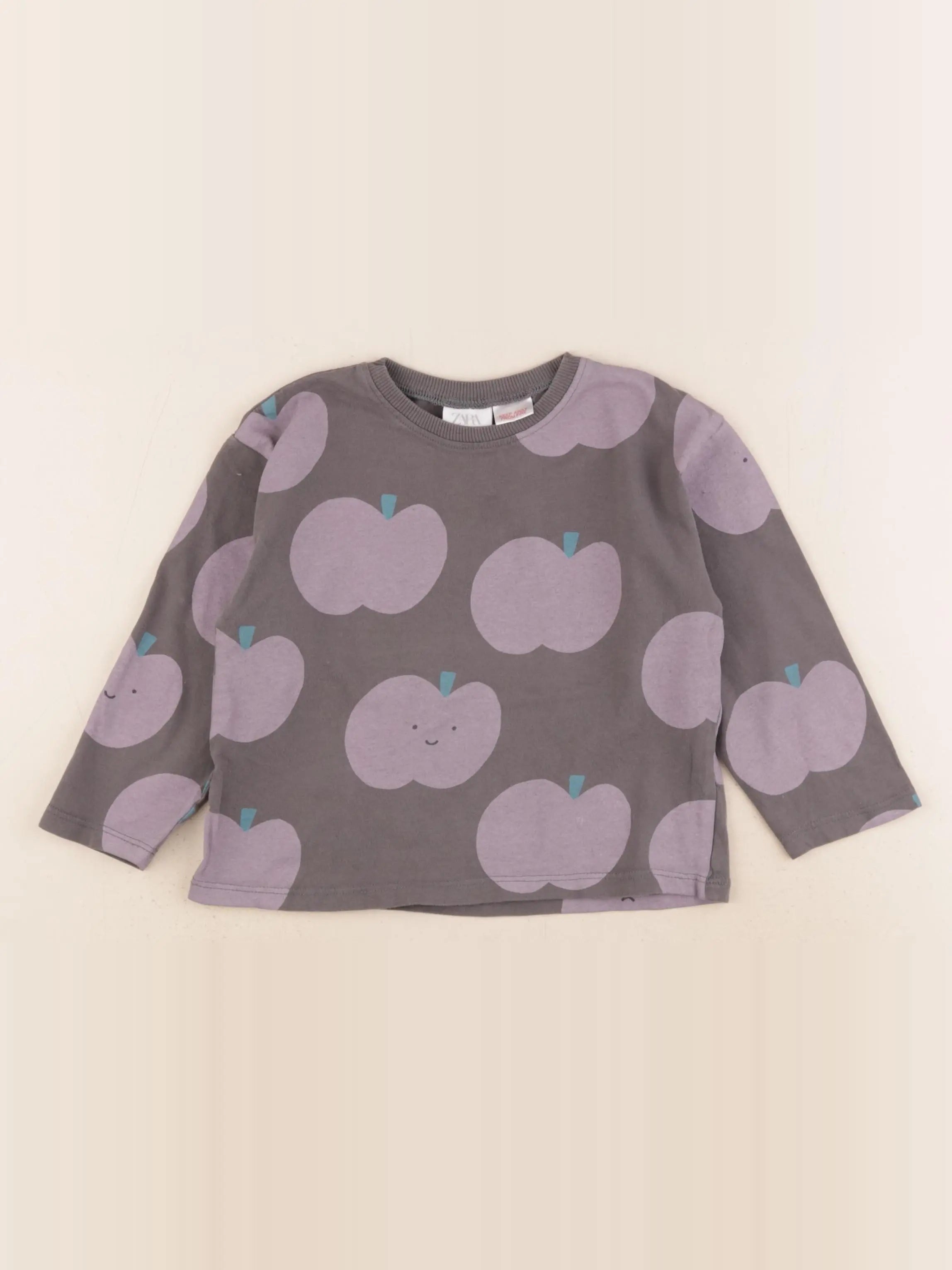 Zara - tee-shirt gris, violet - 2/3 ans