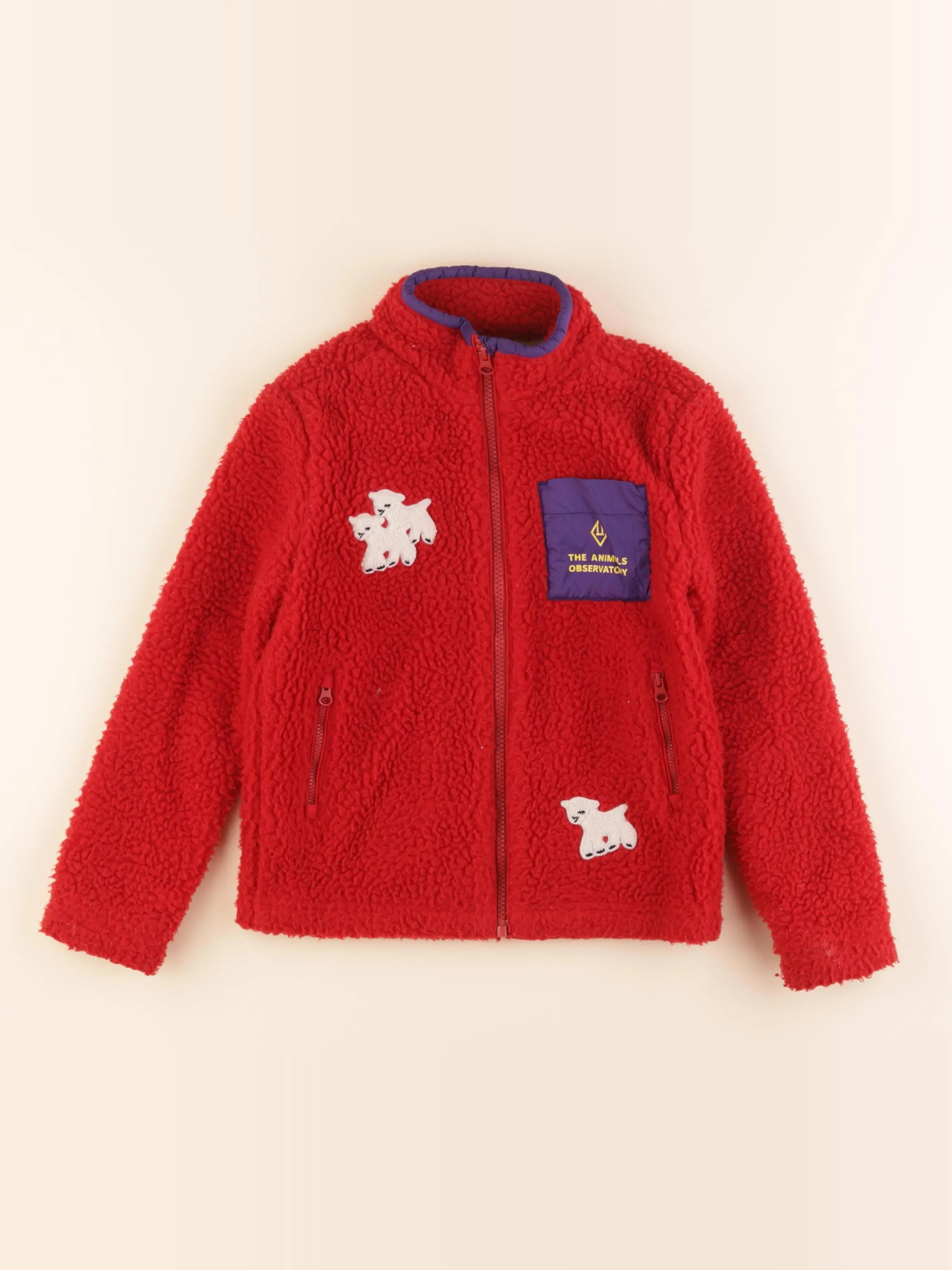 The animals observatory - polaire rouge - 8 ans