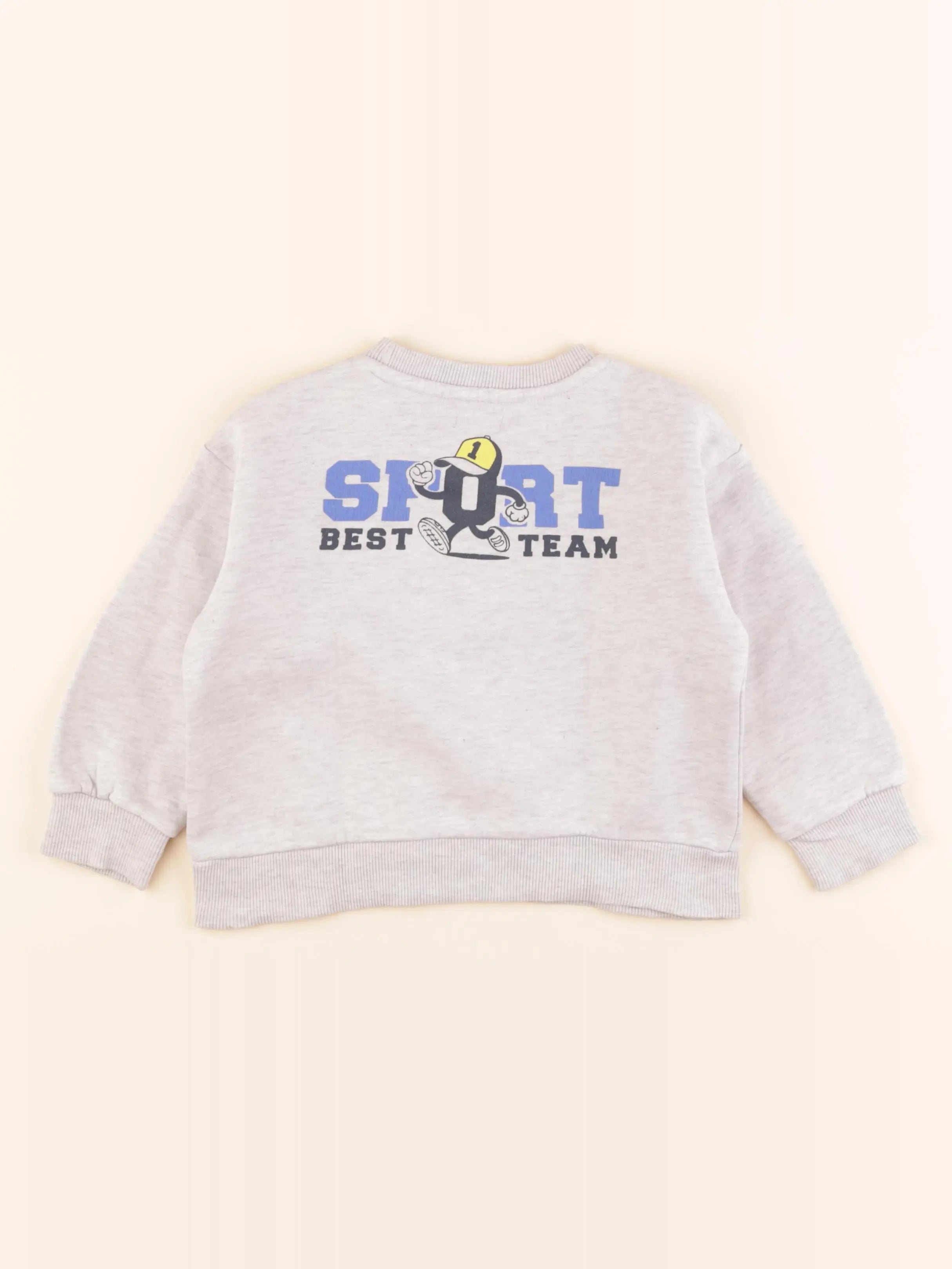 Vertbaudet - sweat imprimé au dos gris - 4 ans