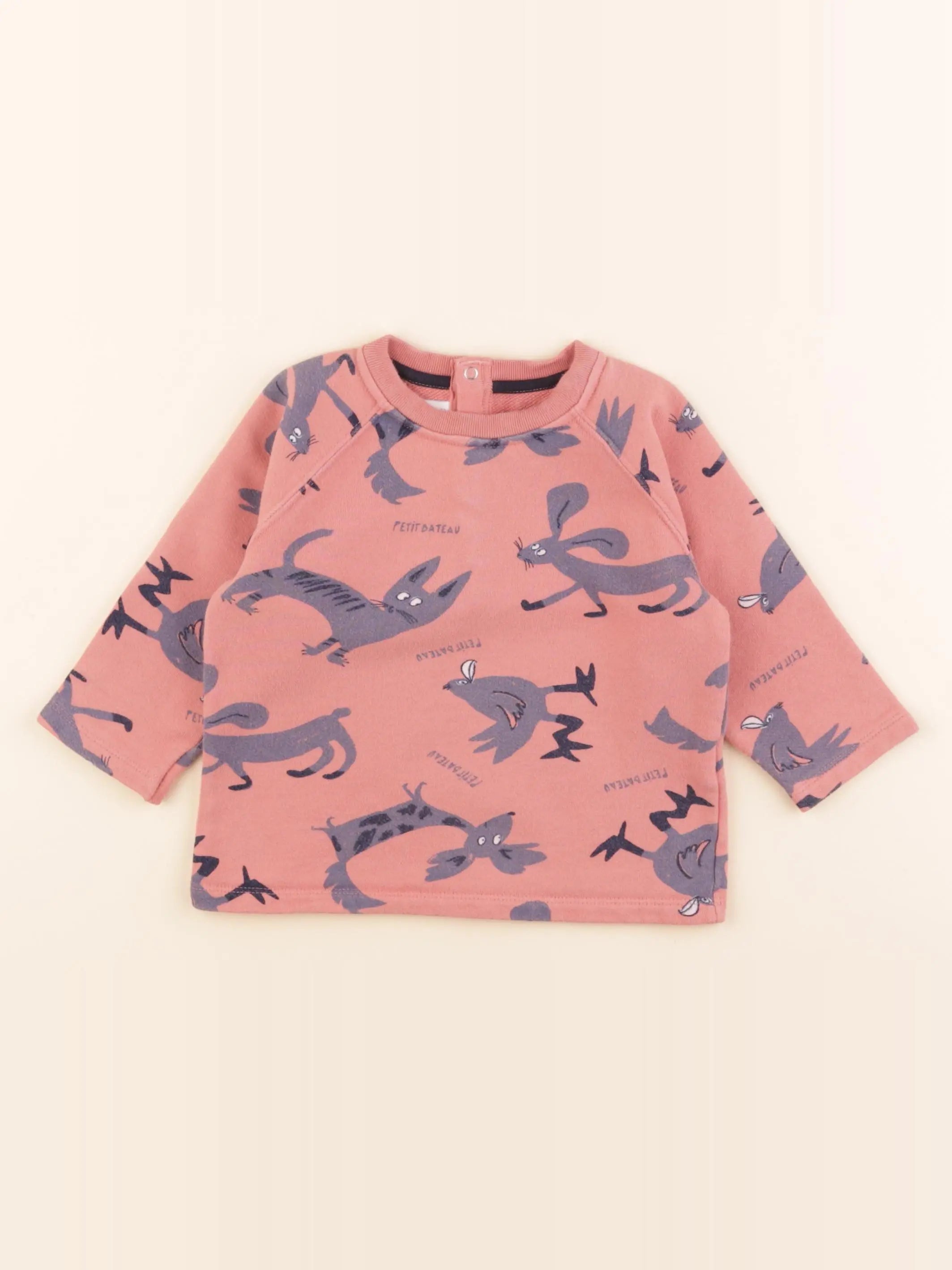 Petit Bateau - sweat multicolore - 24 mois