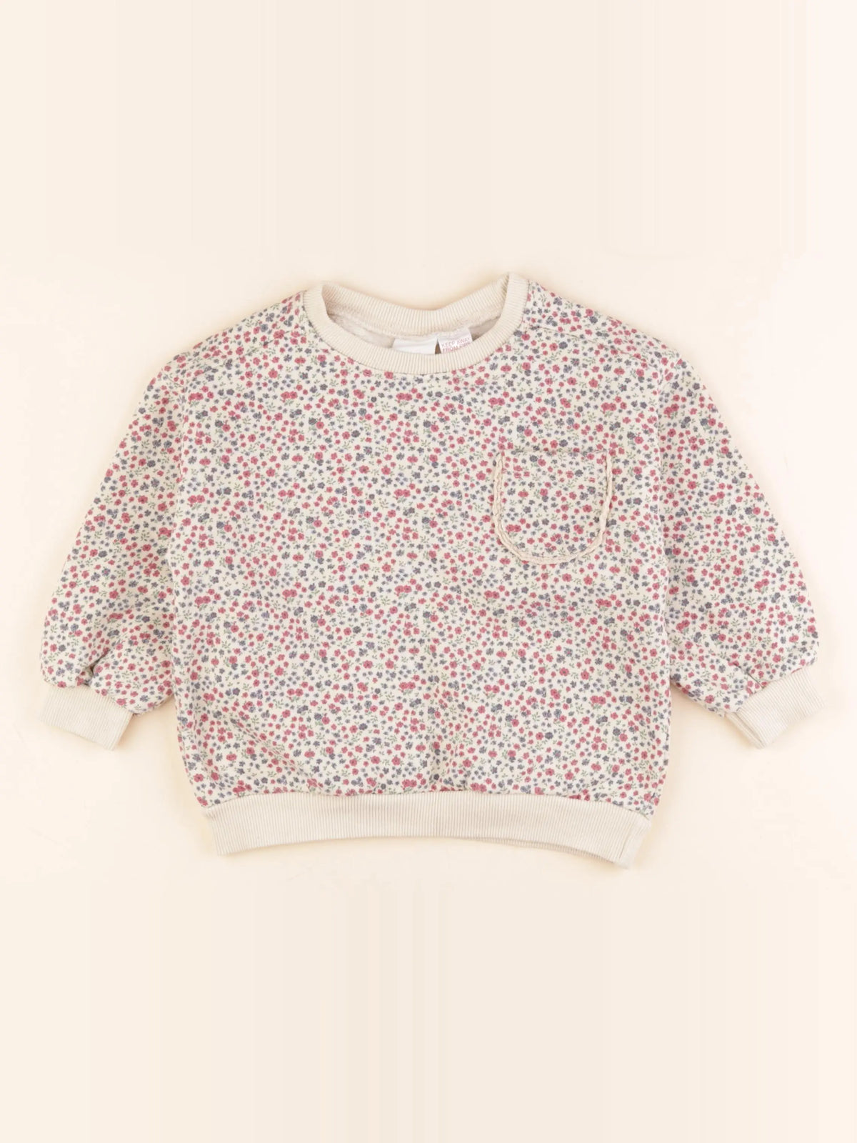 Zara - sweat multicolore - 2 ans