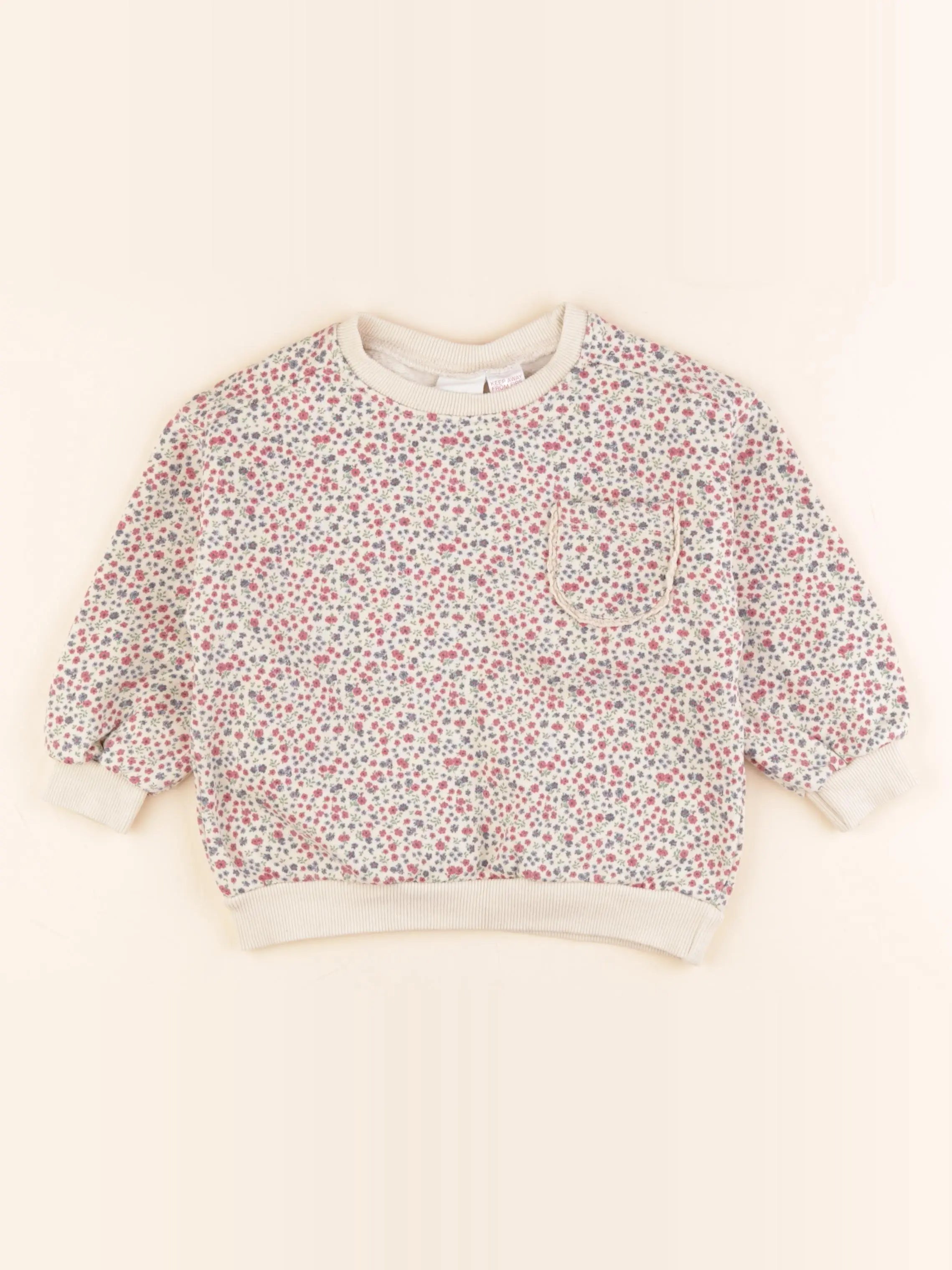 Zara - sweat multicolore - 2 ans