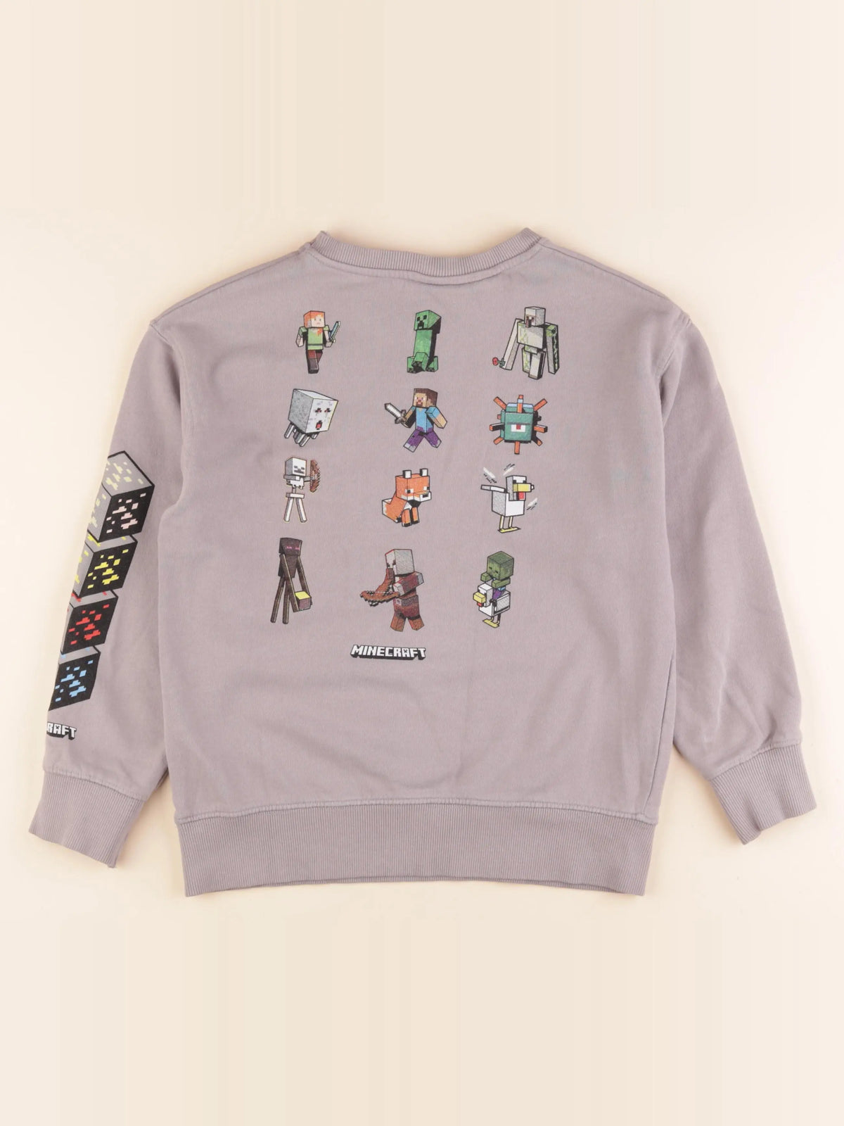 Zara - sweat imprimé au dos gris - 9 ans