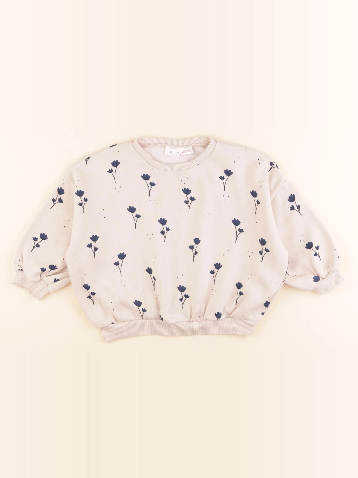Zara - sweat beige - 2/3 ans