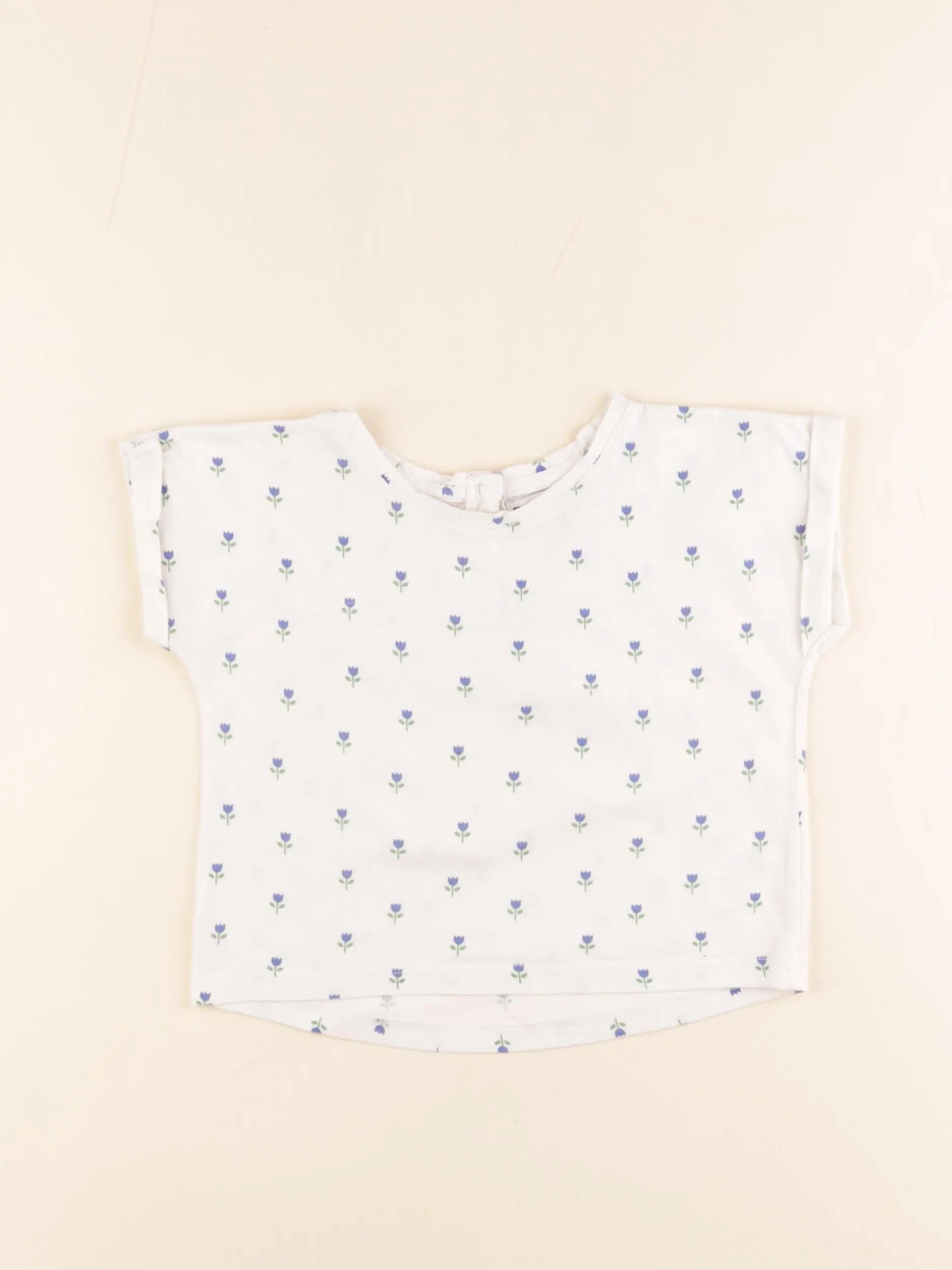 Emile et Ida - tee-shirt beige, bleu - 2 ans