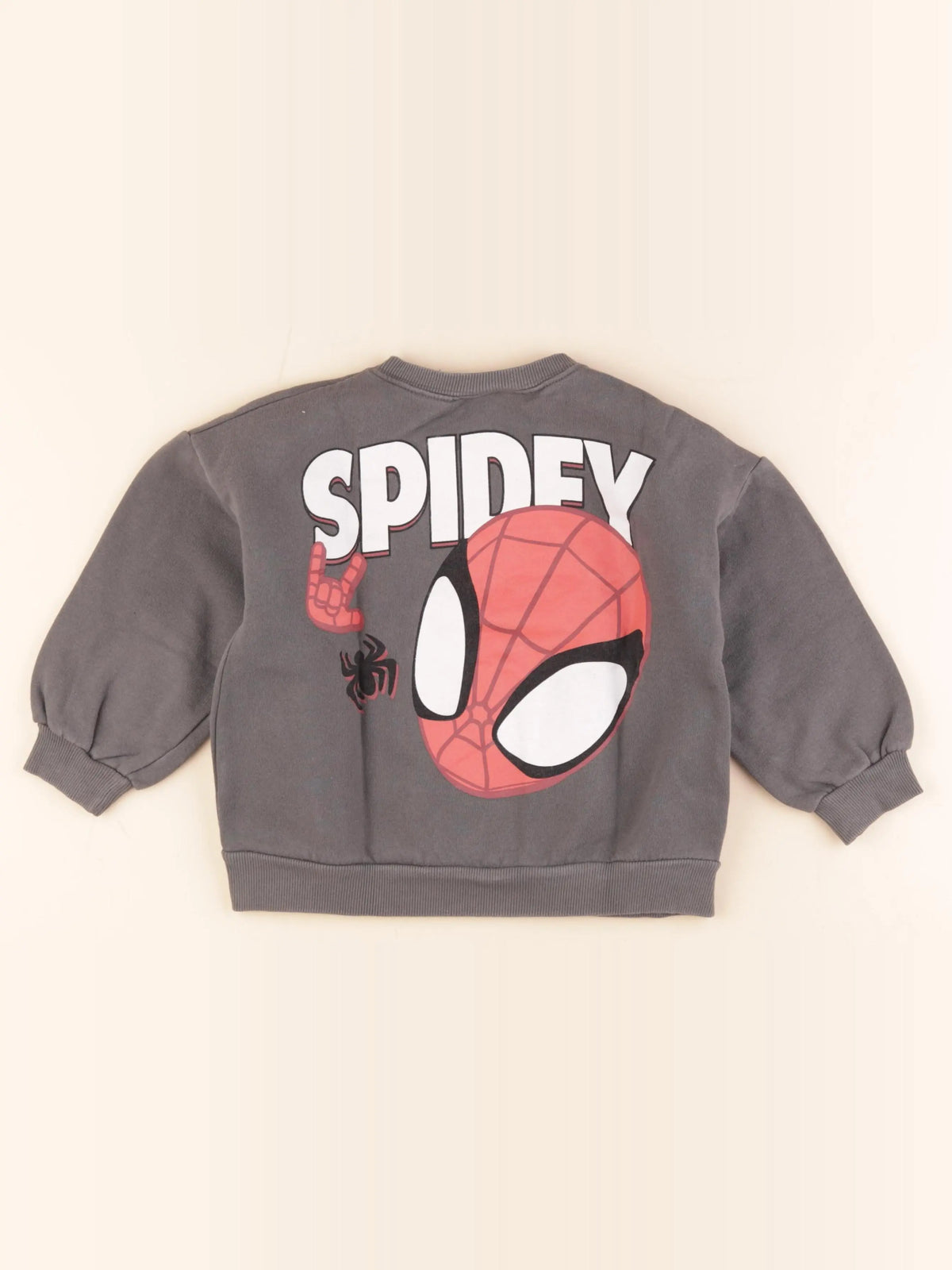 Zara - sweat imprimé au dos gris - 6 ans