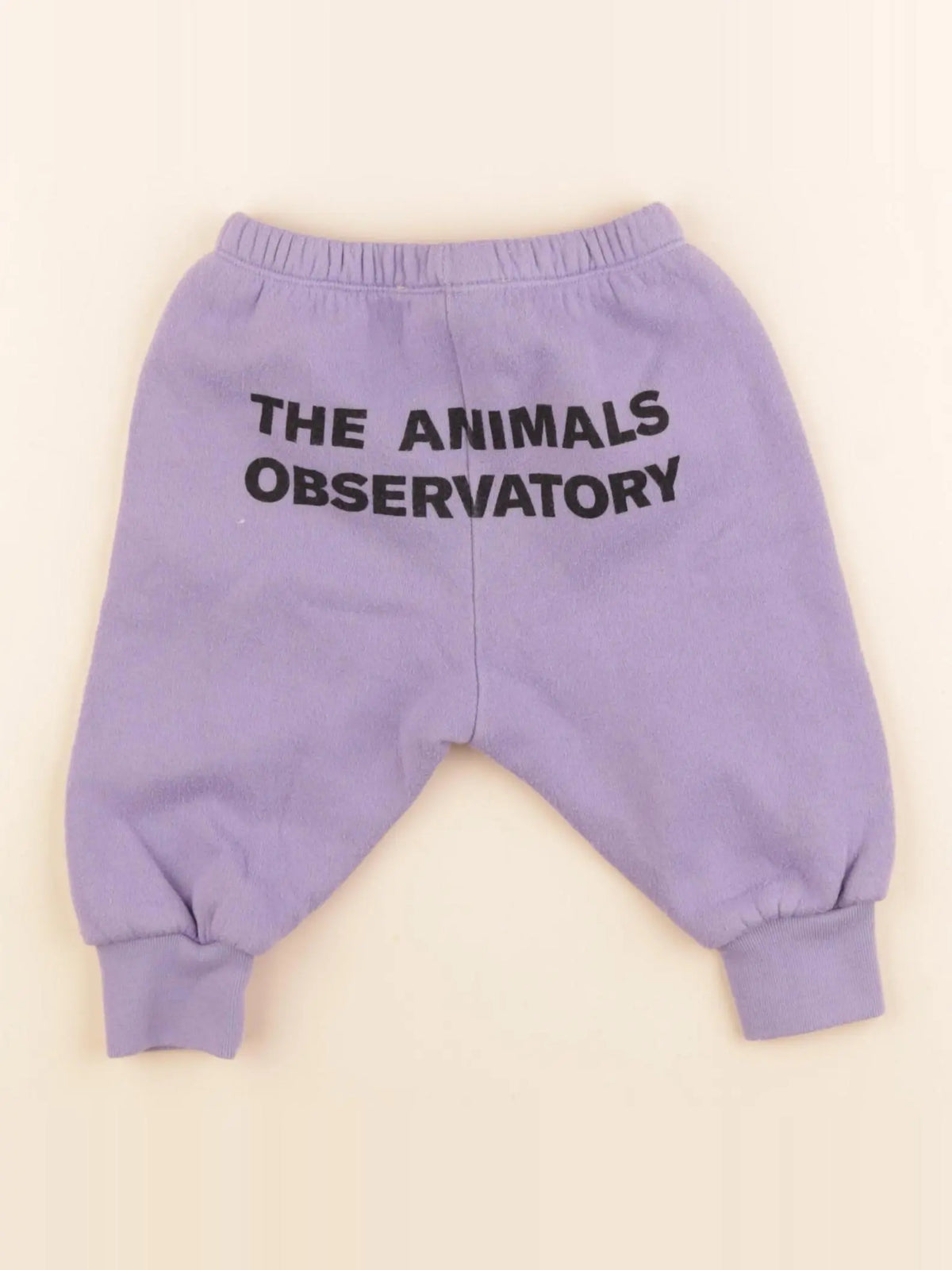 The animals observatory - jogging violet - 6 mois