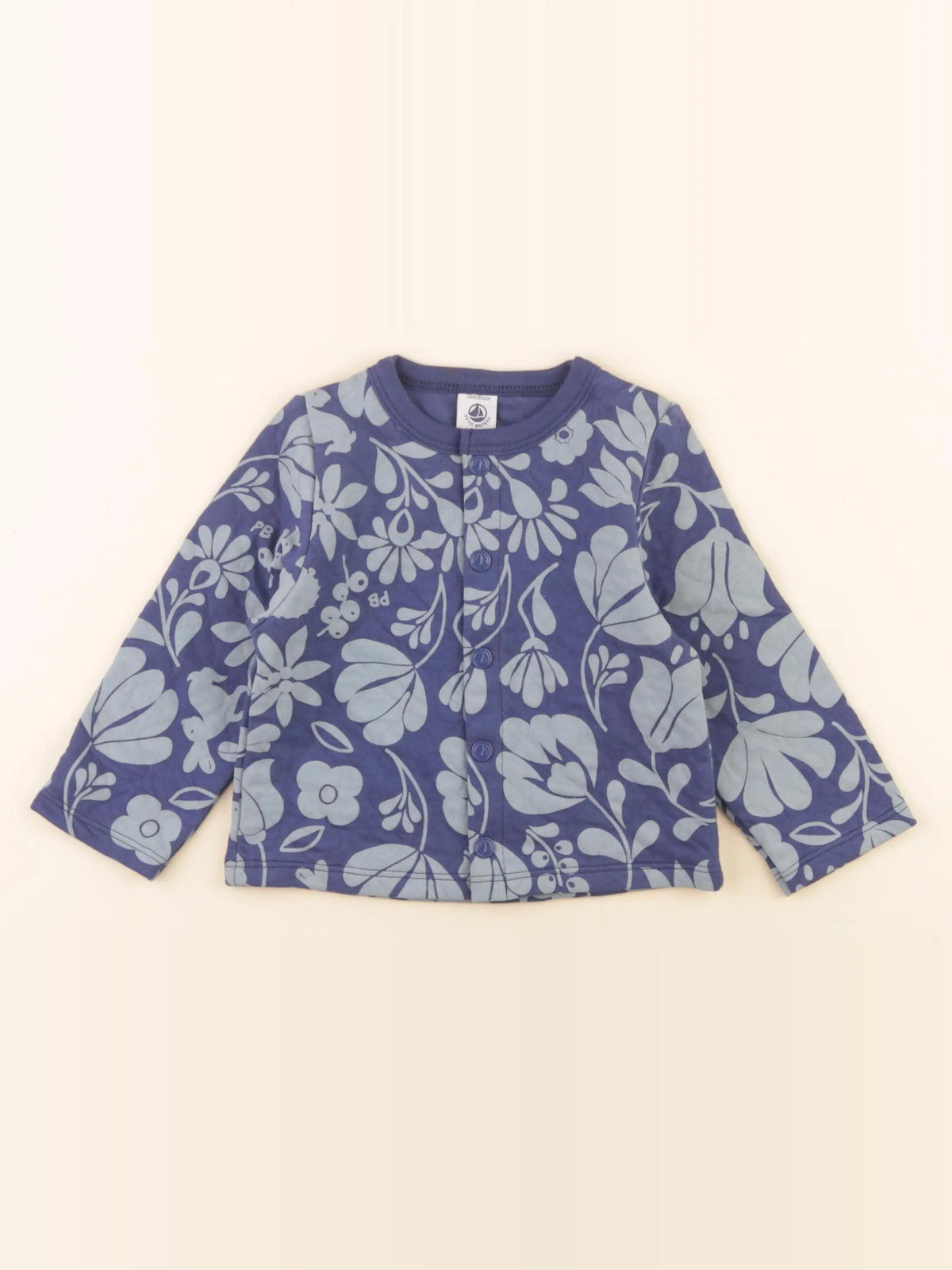 Petit Bateau - sweat bleu, vert - 24 mois