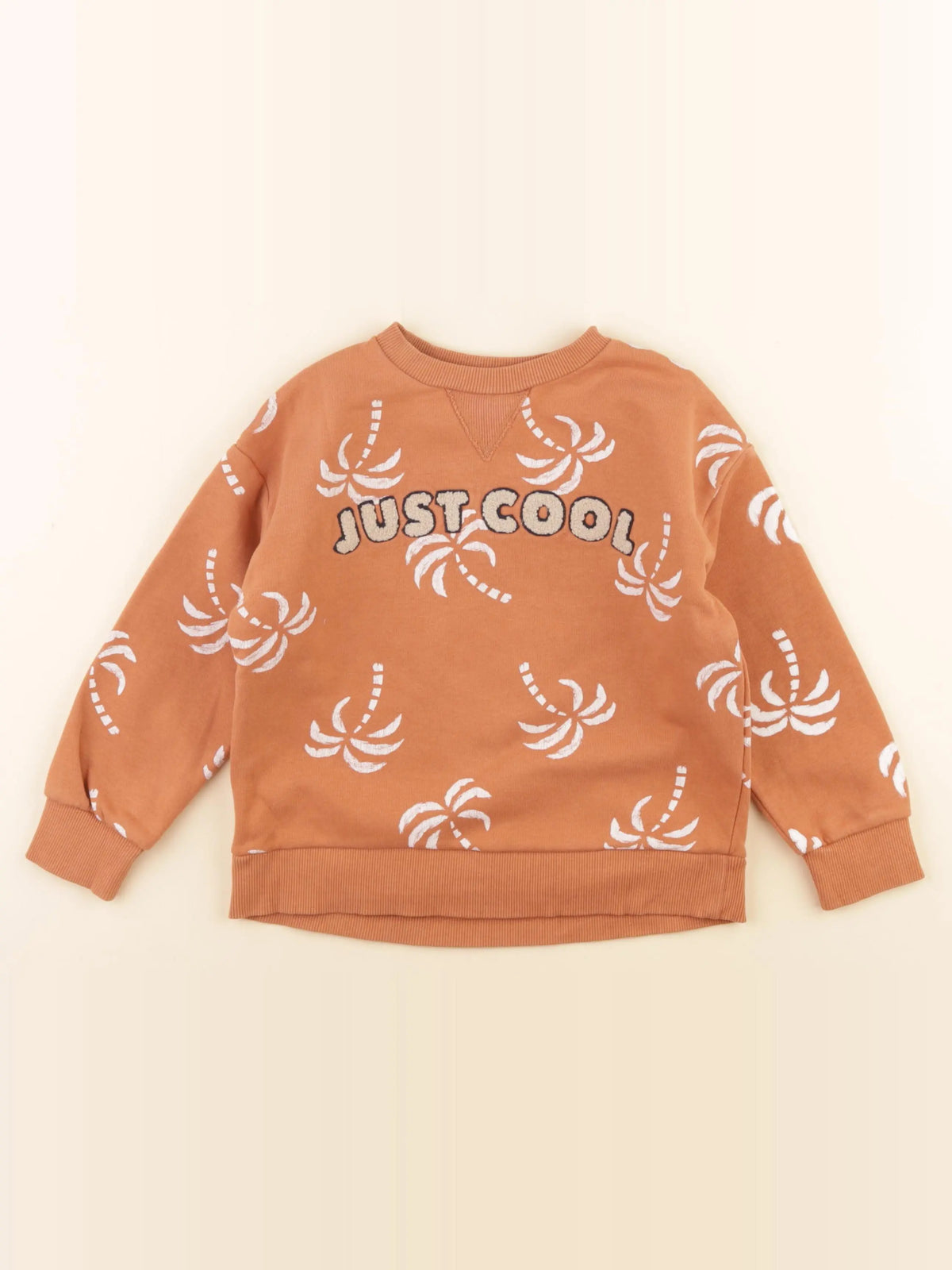 Vertbaudet - sweat marron - 5 ans