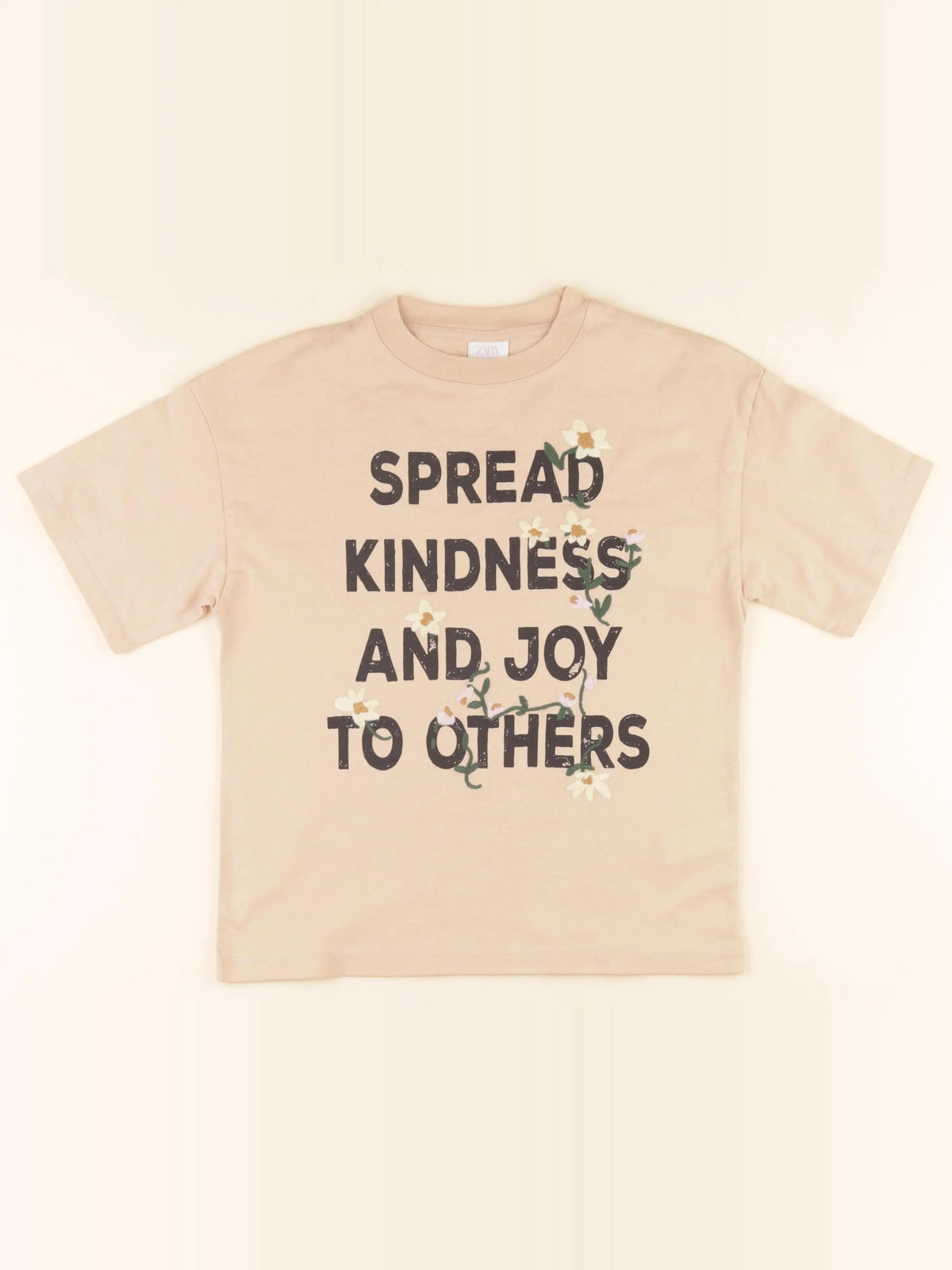 Zara - tee-shirt marron - 9/10 ans