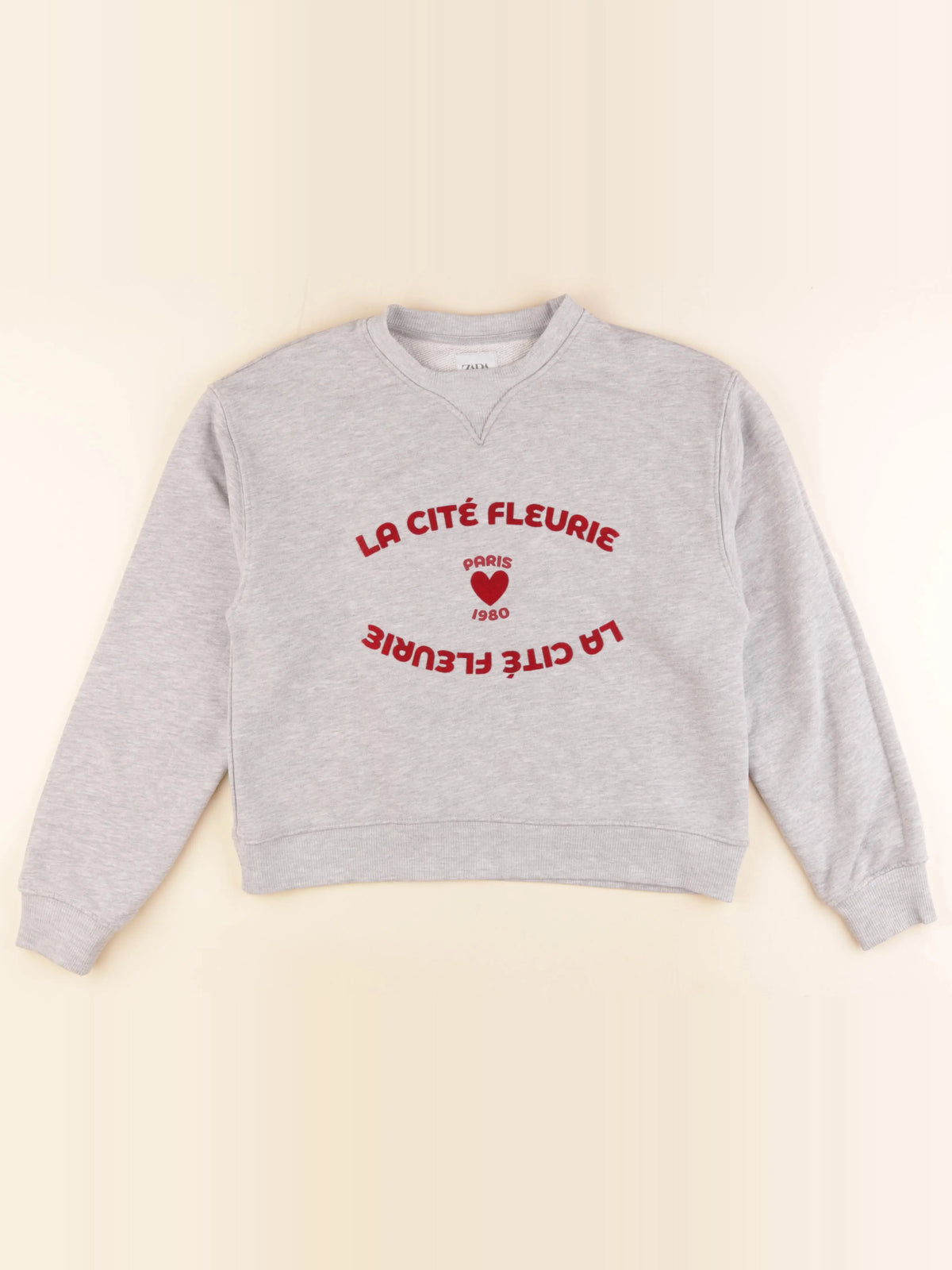 Zara - sweat gris - 13/14 ans