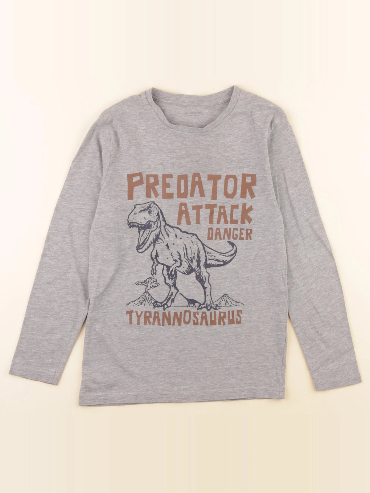 Vertbaudet - tee-shirt gris - 10 ans