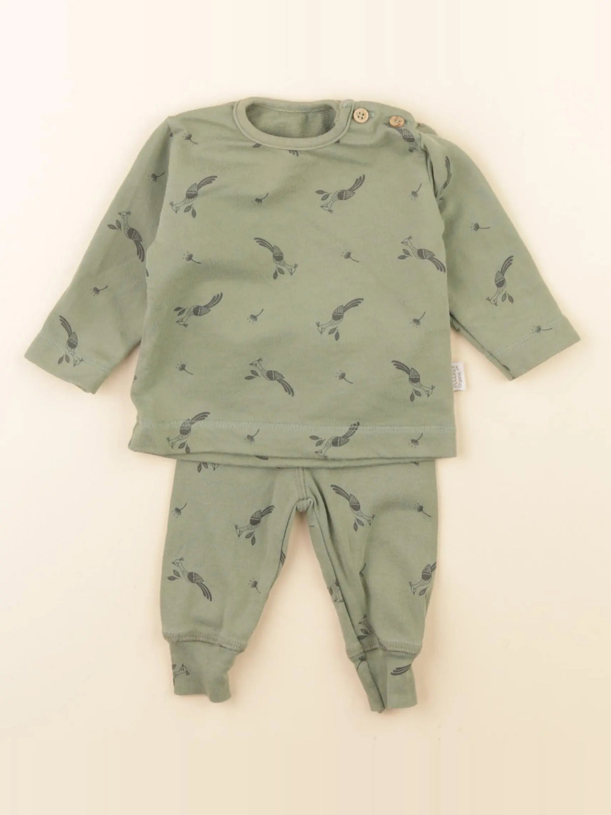 Poudre Organic - ensemble vert - 1 mois