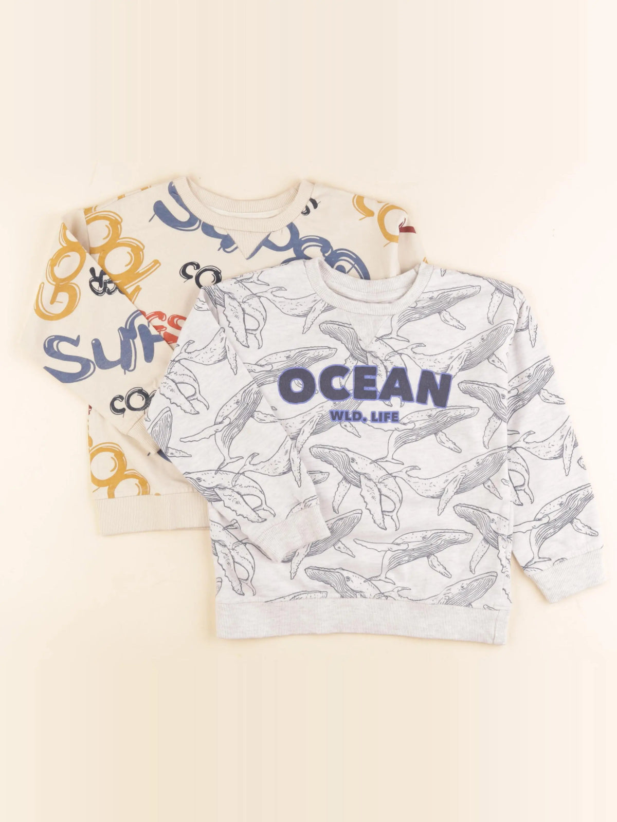 Vertbaudet - lot de 2 tee-shirts bleu, beige - 5 ans