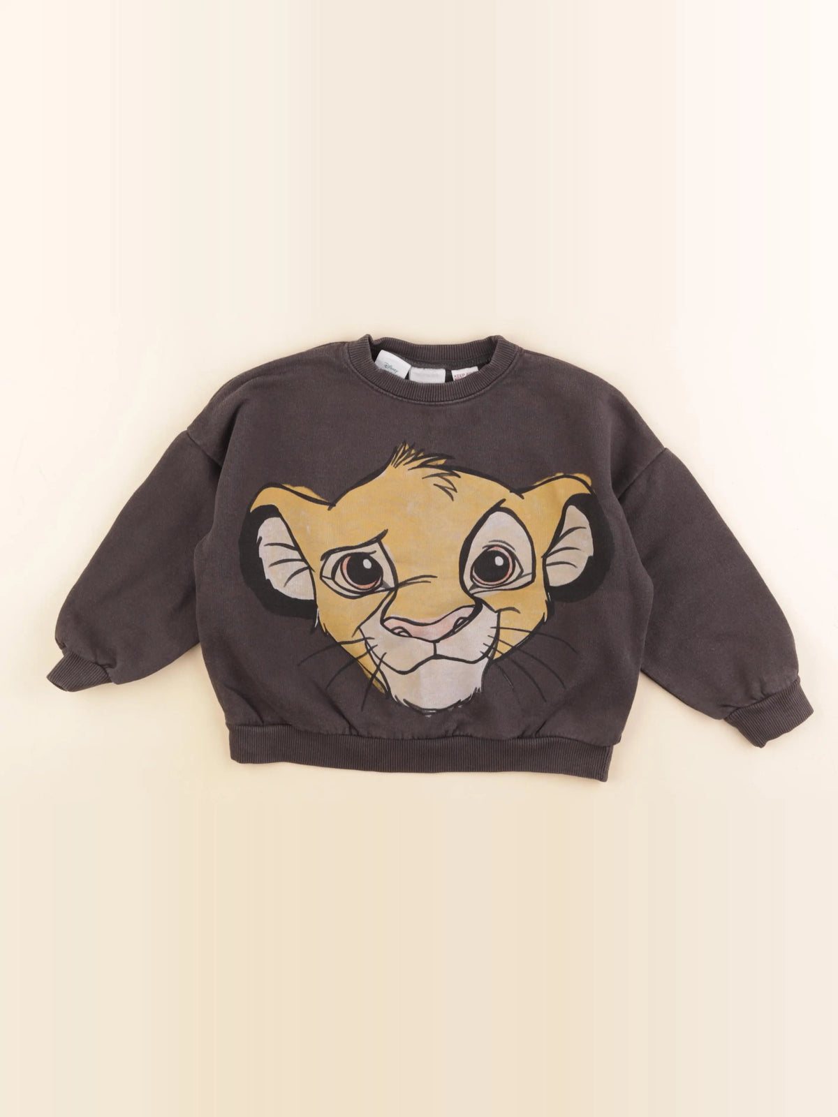 Zara - sweat imprimé au dos gris - 4/5 ans