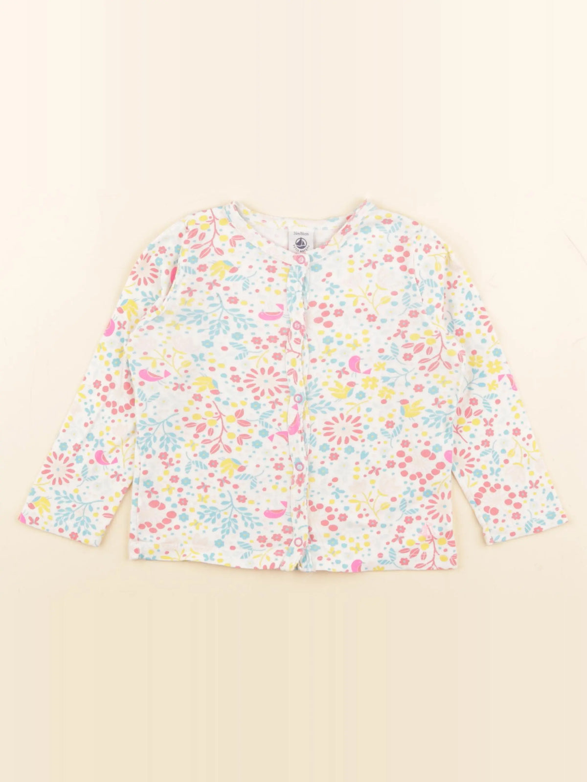 Petit Bateau - tee-shirt multicolore - 24 mois
