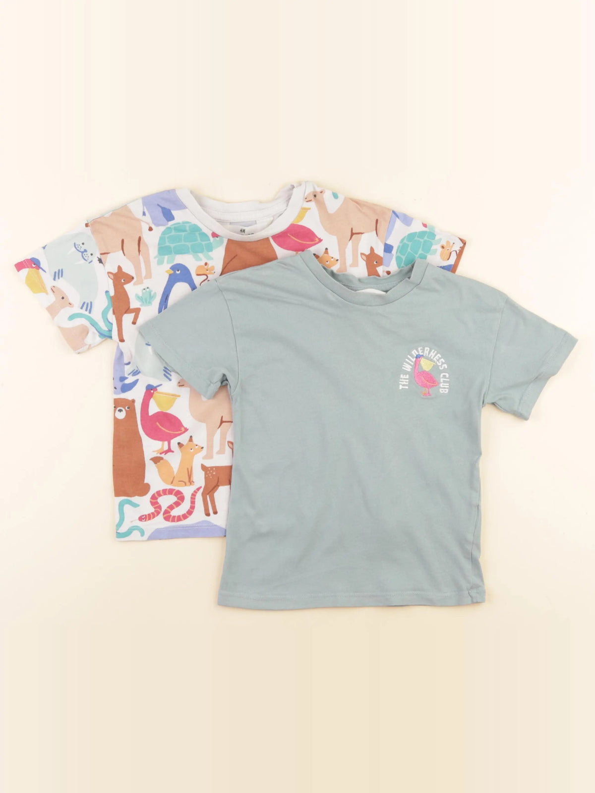 H&M - lot de 2 tee-shirts multicolore - 18/24 mois