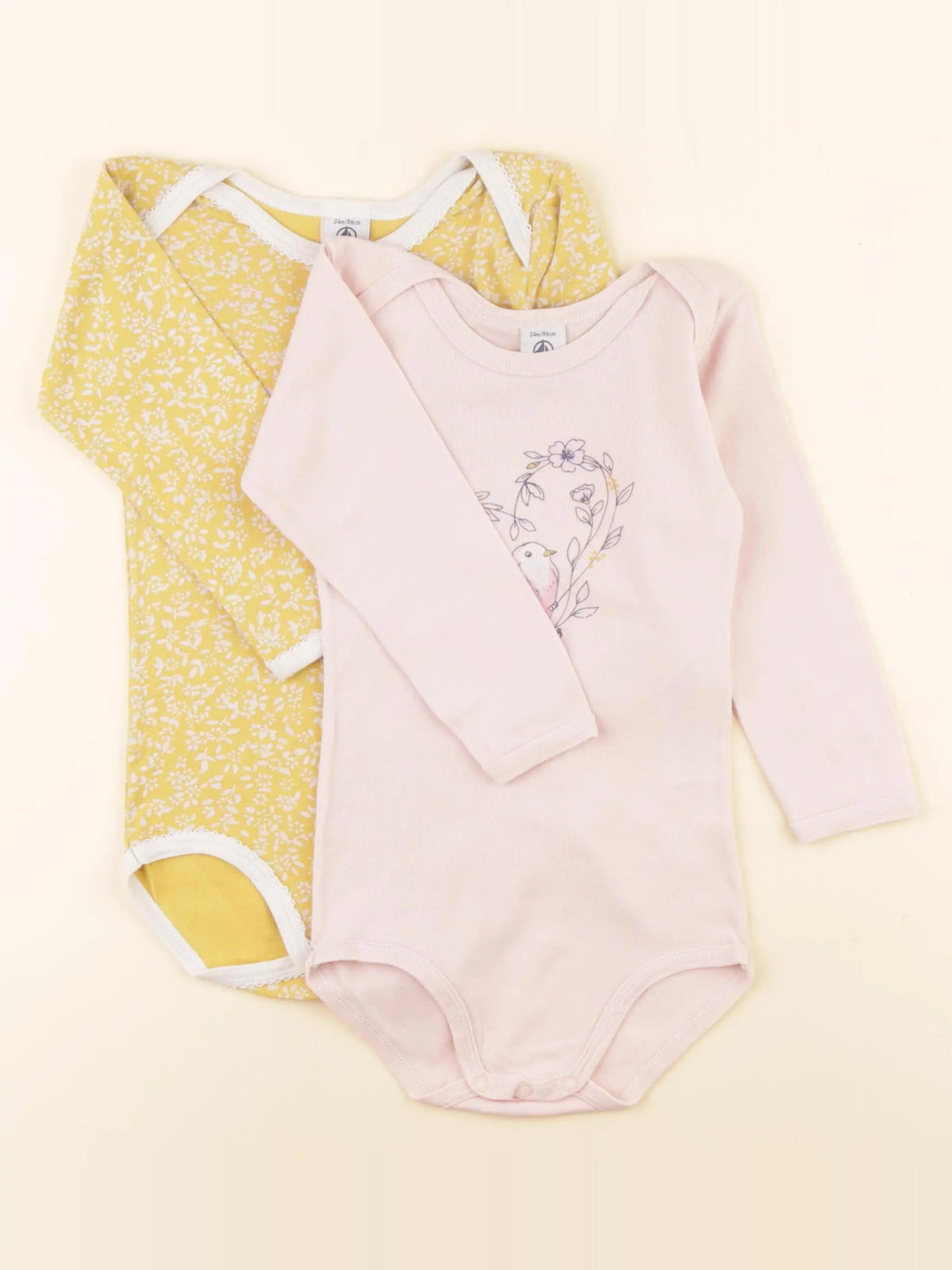 Petit Bateau - lot de 2 bodies en coton multicolore - 24 mois