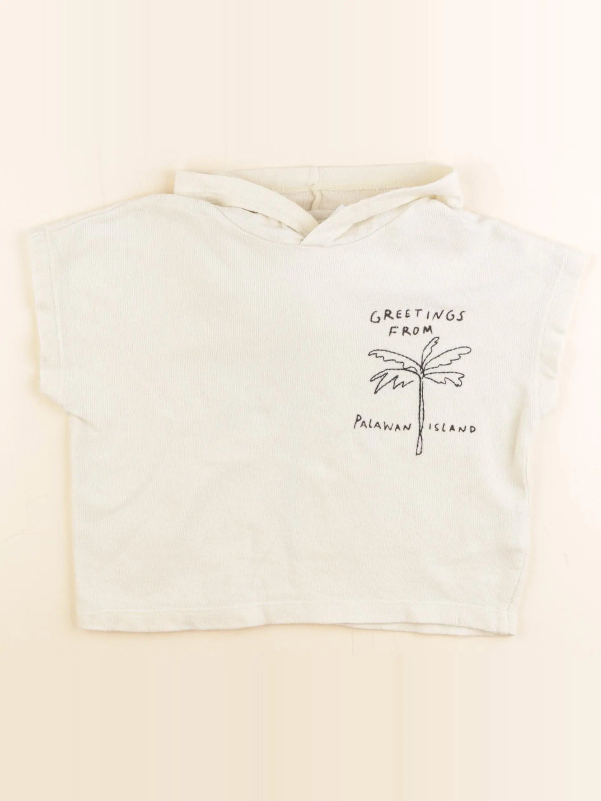 Zara - pull imprimé au dos beige - 2 ans