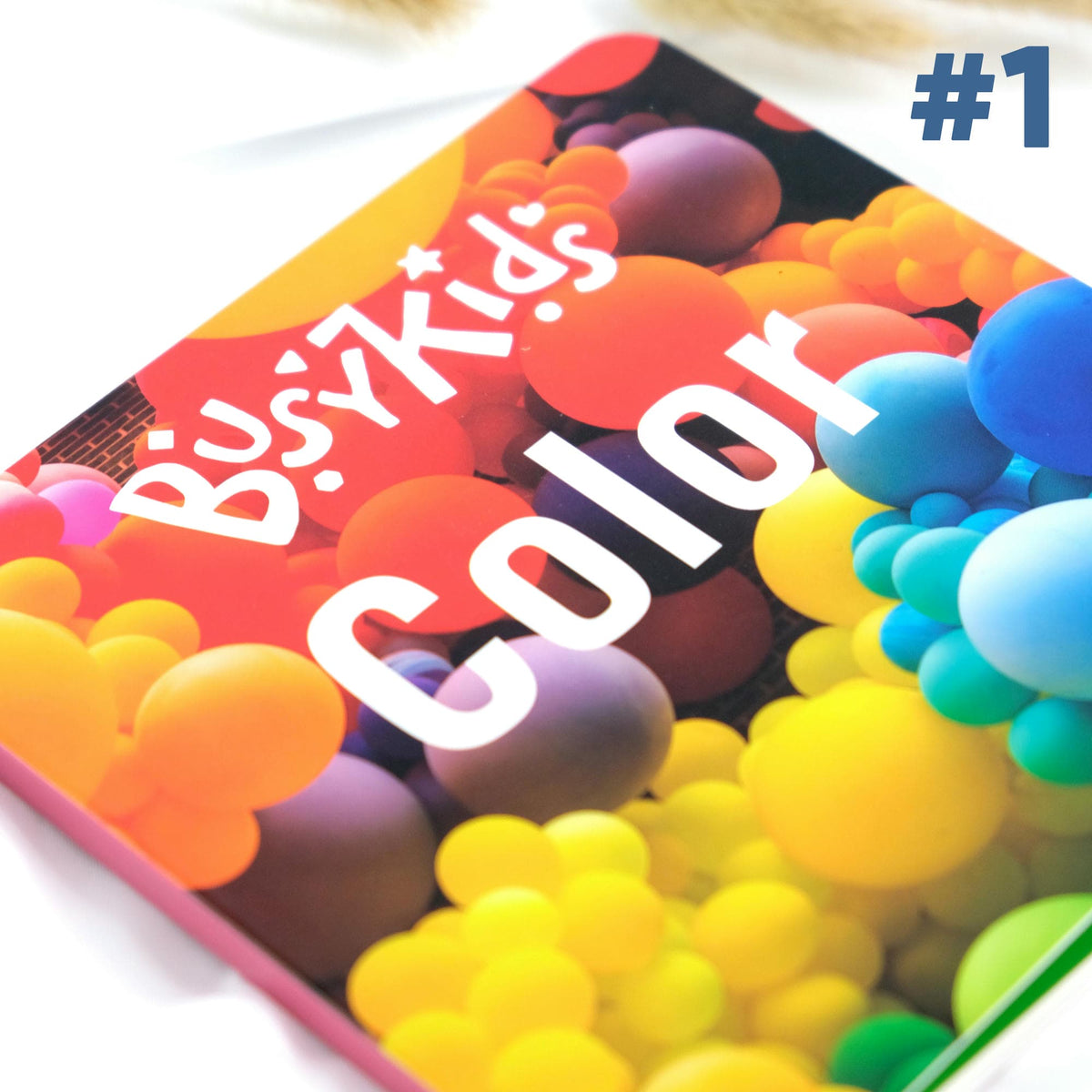 Coffret de Jeu Montessori pour les enfants de 12 à 18 mois