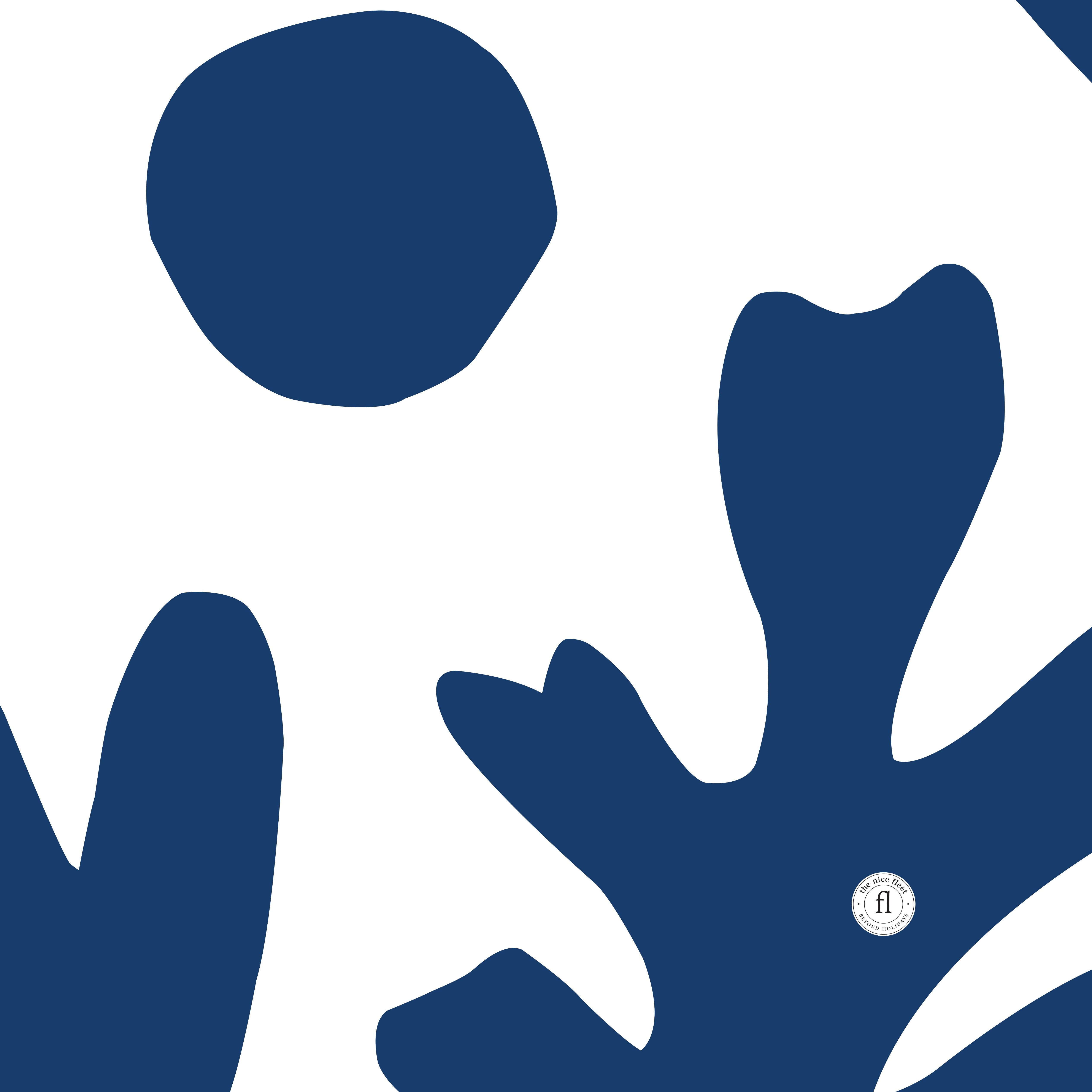 Moorea white / navy - THE NICE FLEET