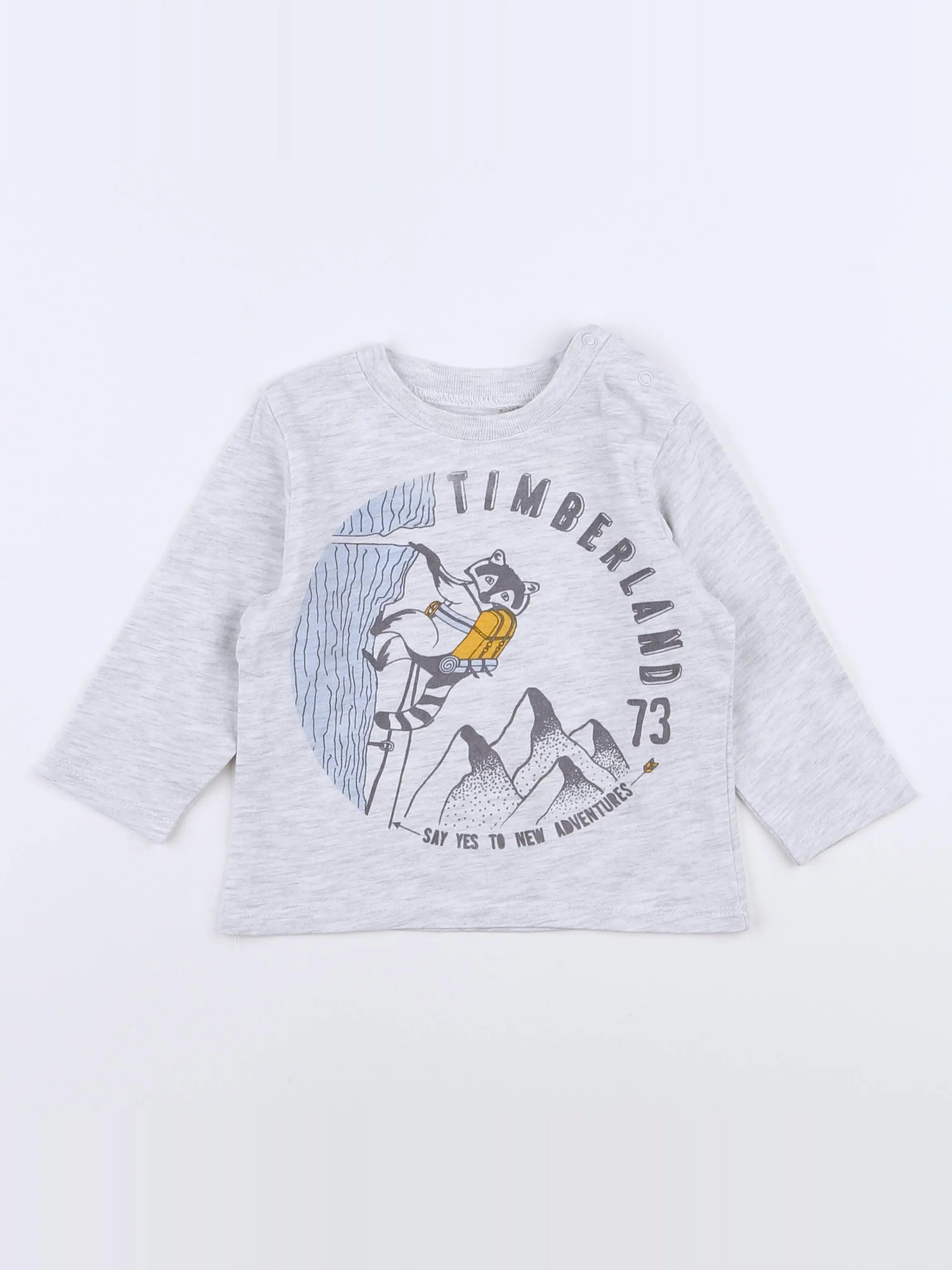 Timberland - tee-shirt gris - 12 mois
